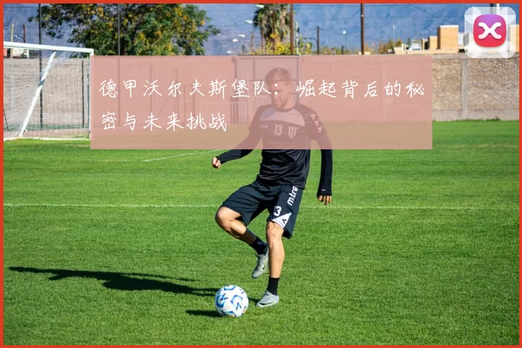 德甲沃尔夫斯堡队：崛起背后的秘密与未来挑战