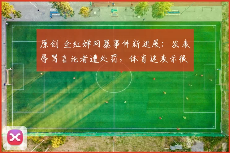 原创 全红婵网暴事件新进展：发表辱骂言论者遭处罚，体育迷表示很支持