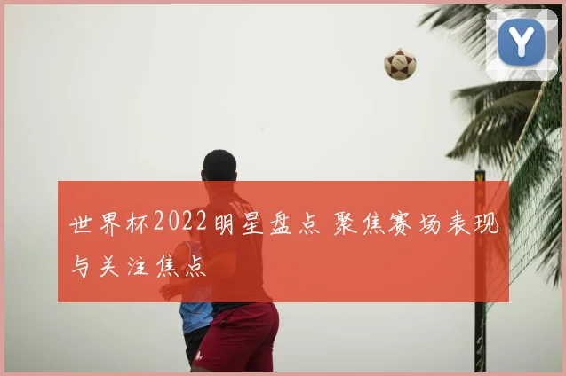世界杯2022明星盘点 聚焦赛场表现与关注焦点