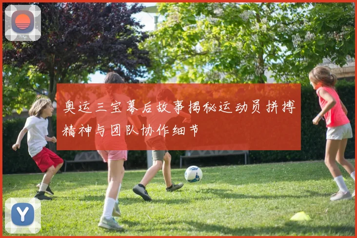 奥运三宝幕后故事揭秘运动员拼搏精神与团队协作细节