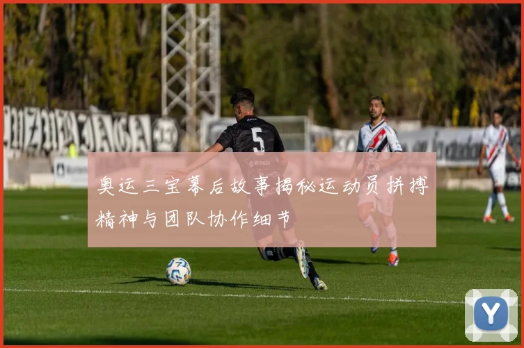 奥运三宝幕后故事揭秘运动员拼搏精神与团队协作细节